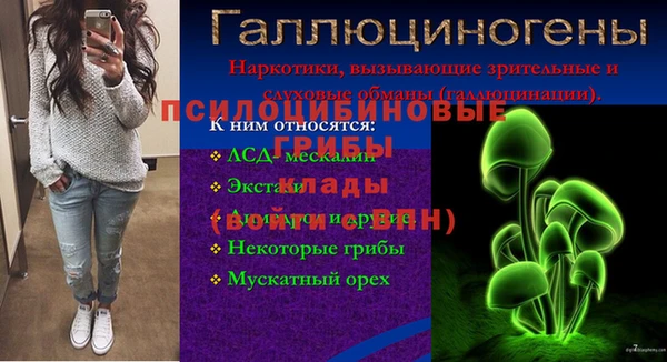 дурь Богданович